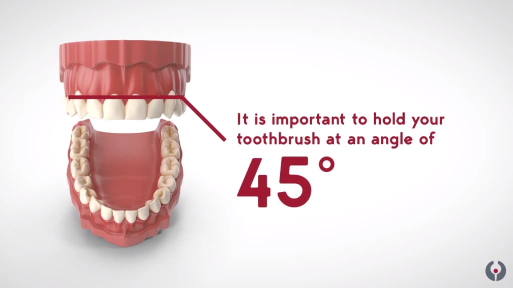 Sulcular brushing technique