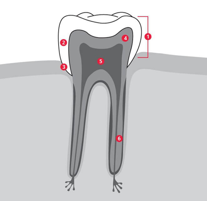 Sulcular brushing technique